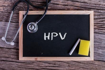 HPV humán papillómavírus