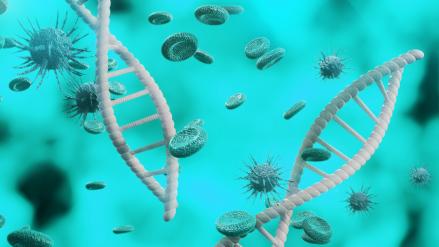 Mutáció koronavírus India Mutáció koronavírus India