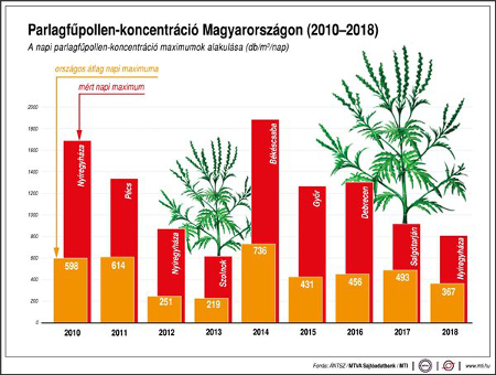 Parlagfű helyzet Magyarország