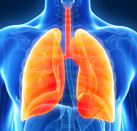 Tüdőfibrózis idiopáthiás Tüdőfibrózis idiopáthiás