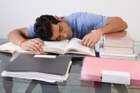 cirkadián ritmus, memória, tanulás