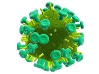 HIV-vírus, agy