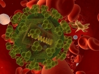 HIV-vírus
