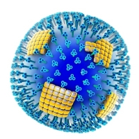 influenza, vírus, immunrendszer influenza, vírus, immunrendszer