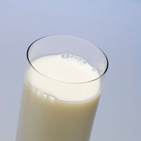 kolosztrum, lactobacillus kolosztrum, lactobacillus