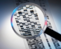 petefészekrák, gén petefészekrák, gén