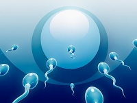 spermium, intelligencia