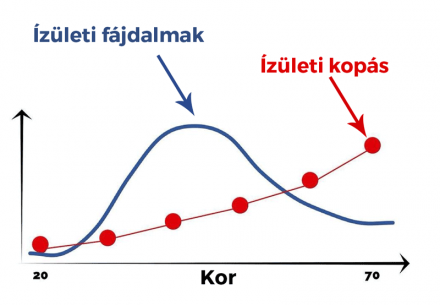 Izületi kopás és fájdalom kapcsolata