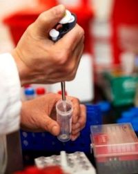 rák daganat rezisztencia terápia gén genetika rák daganat rezisztencia terápia gén genetika