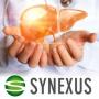 Synnexus zsírmáj2